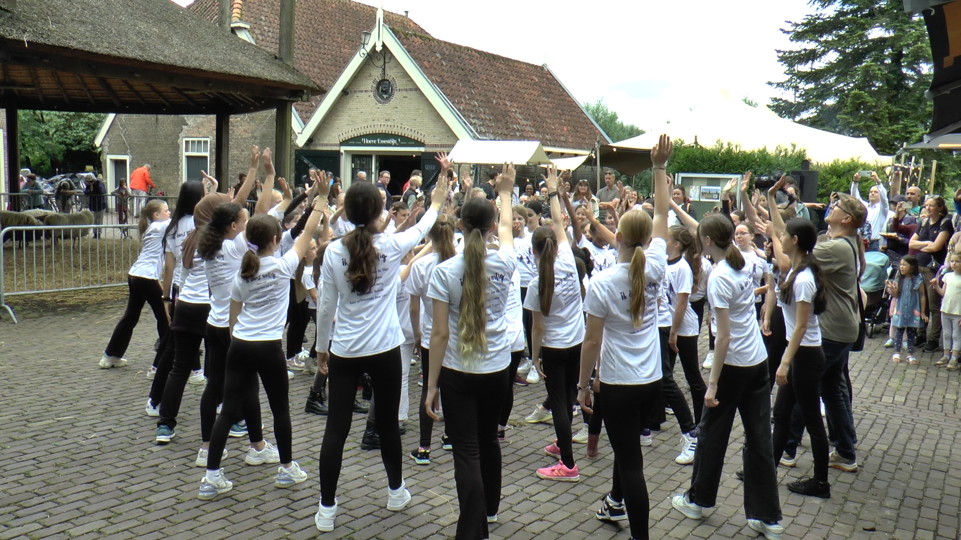 Lentefeest Flashmob door Dans aan de Vliet 2