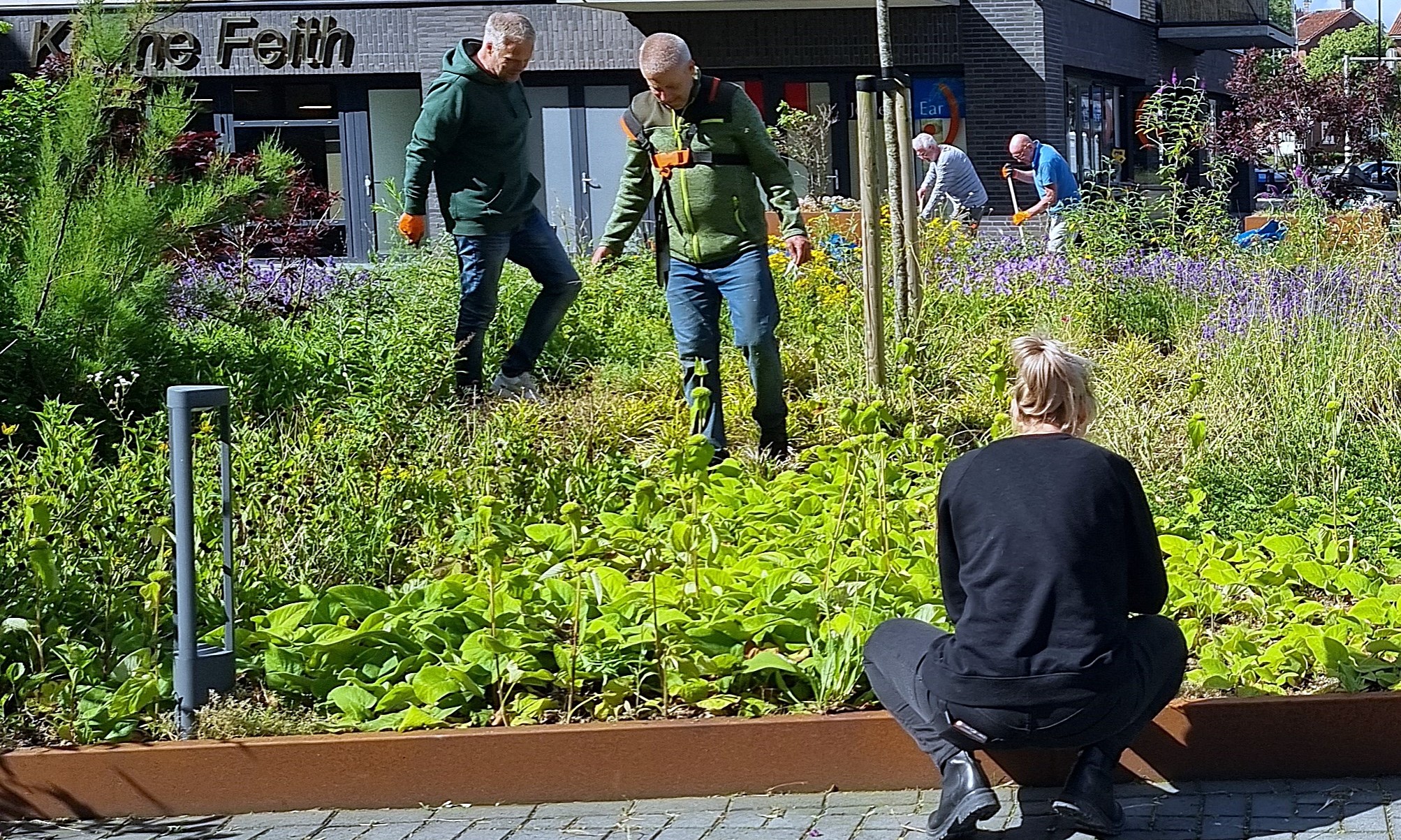 Vrijwilligers in actie op het Burg Feithplein 3