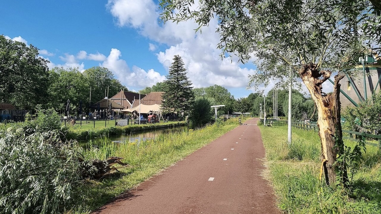 knotwilg langs het Essepad bezweek door harde wind