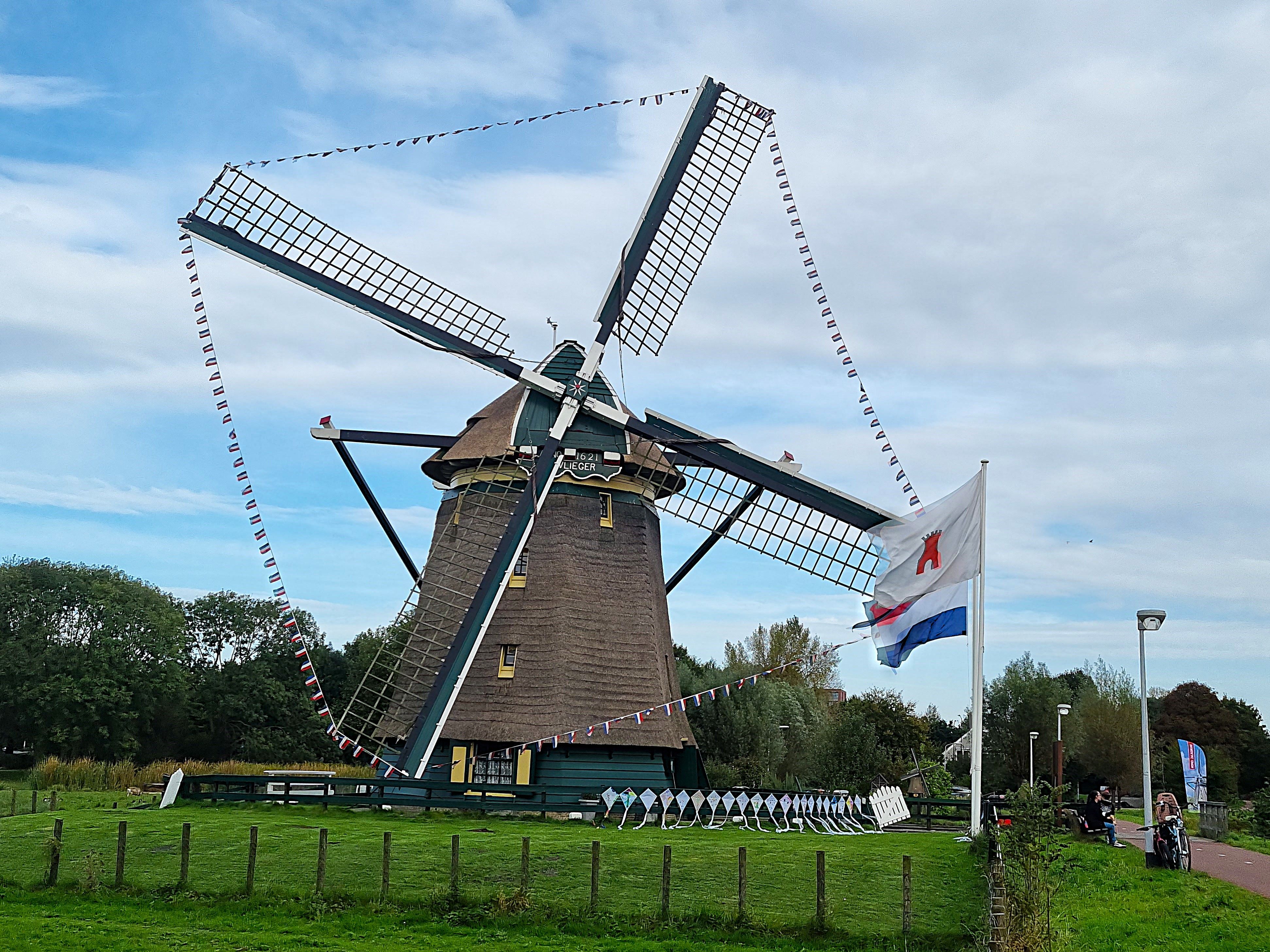 Vliegers van de wedstrijd tentoongesteld bij Molen de Vlieger