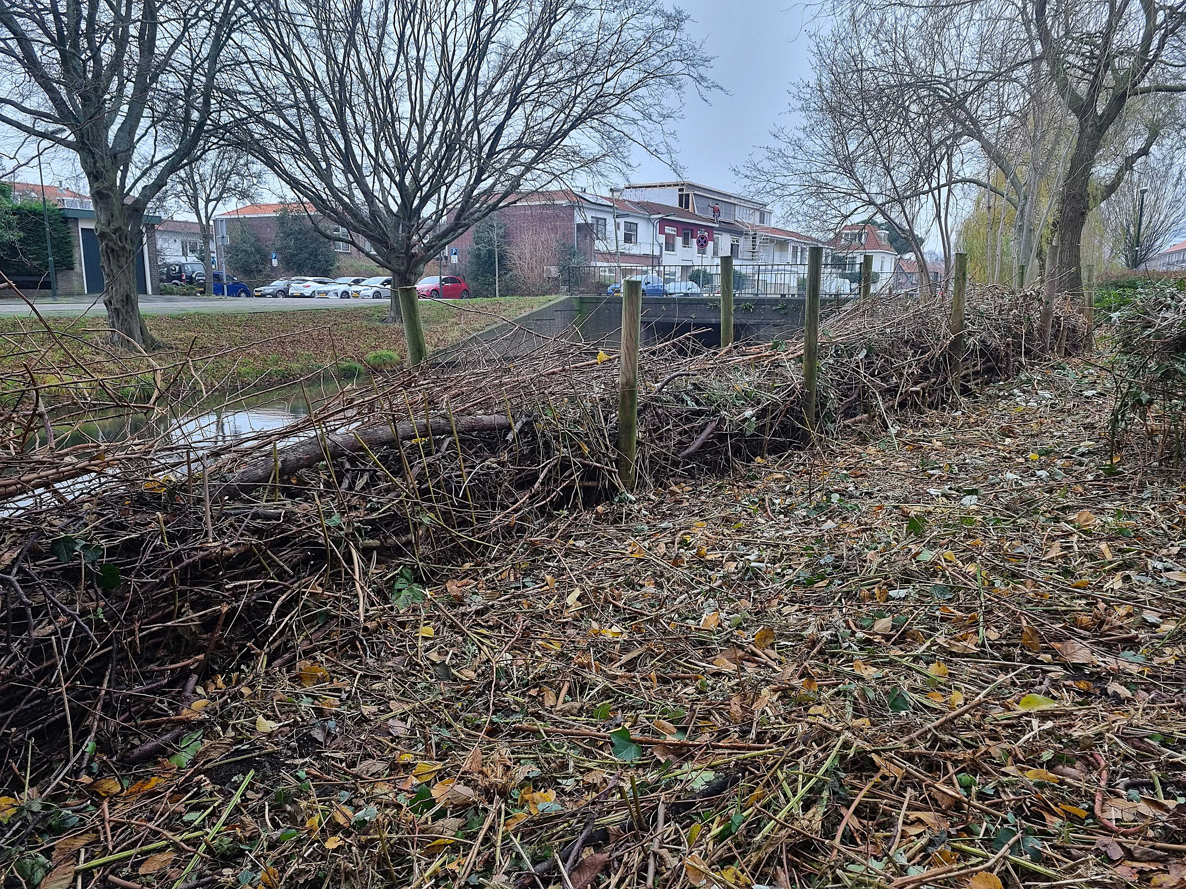 Takkenril nabij Badhuislaan in Voorburg 2