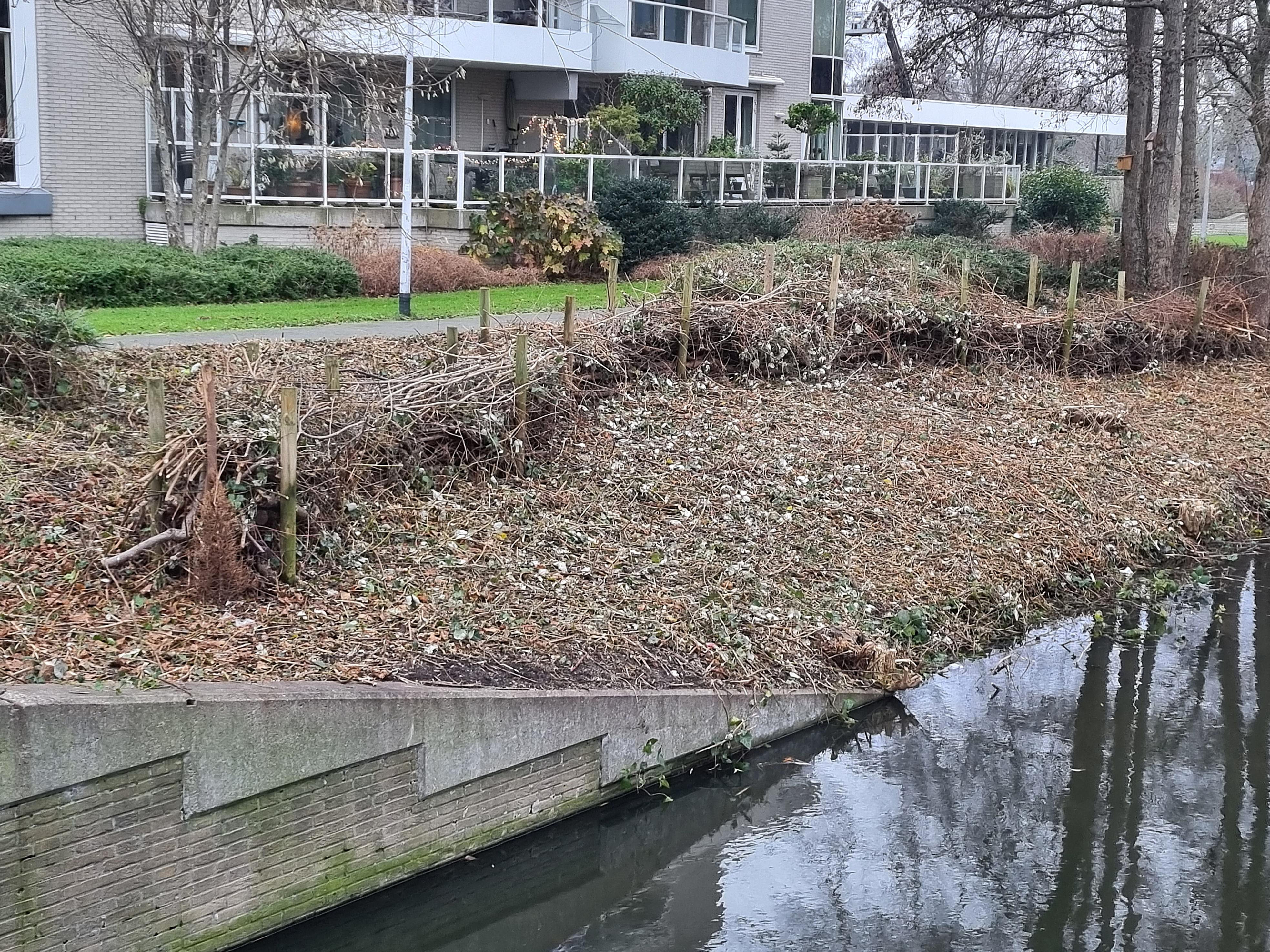 Takkenril nabij Badhuislaan in Voorburg 3