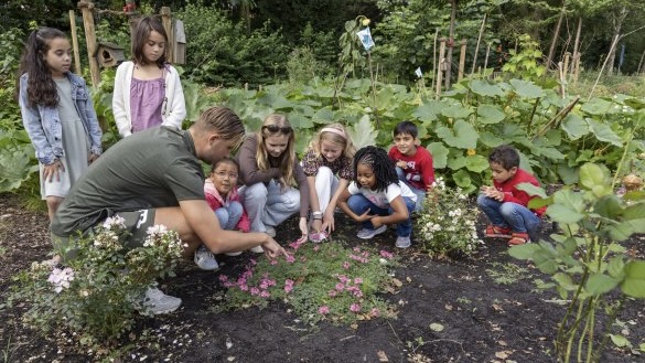 Spelen in de natuur SenW