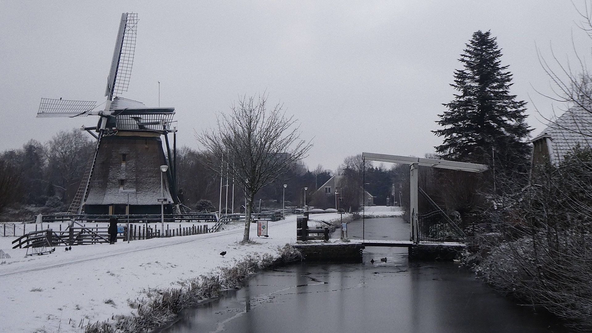 Molen de Vlieger in de sneeuw