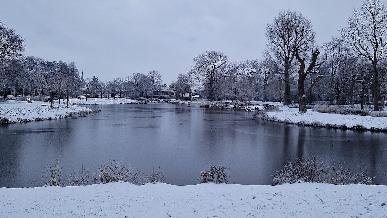 Noteboompark in de sneeuw