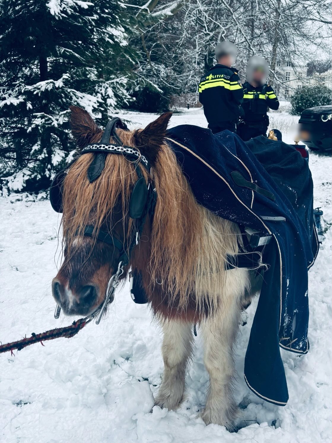 Persoon onder slee Wassenaar