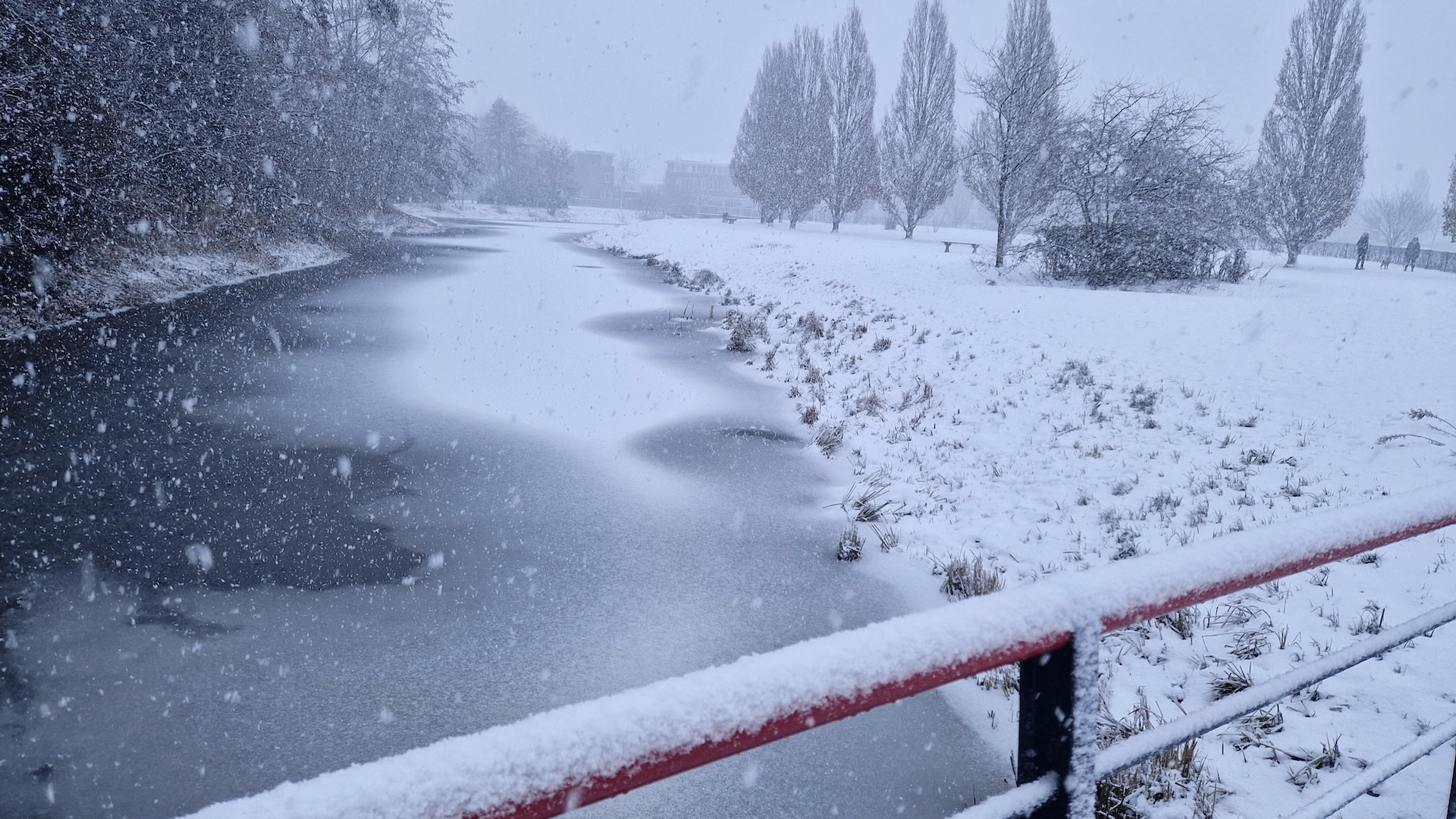 Sijtwendepark in de sneeuw