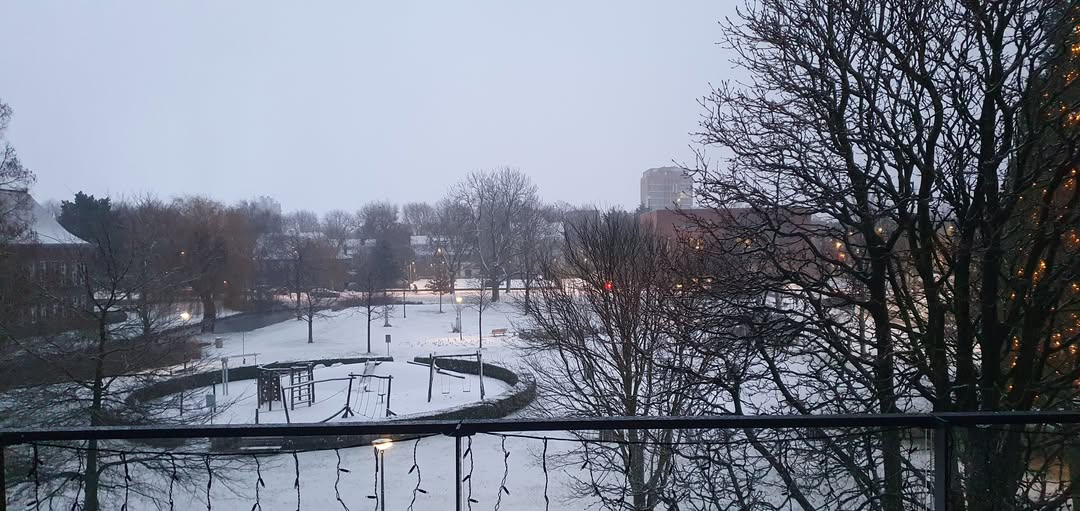 Winter Marienpark