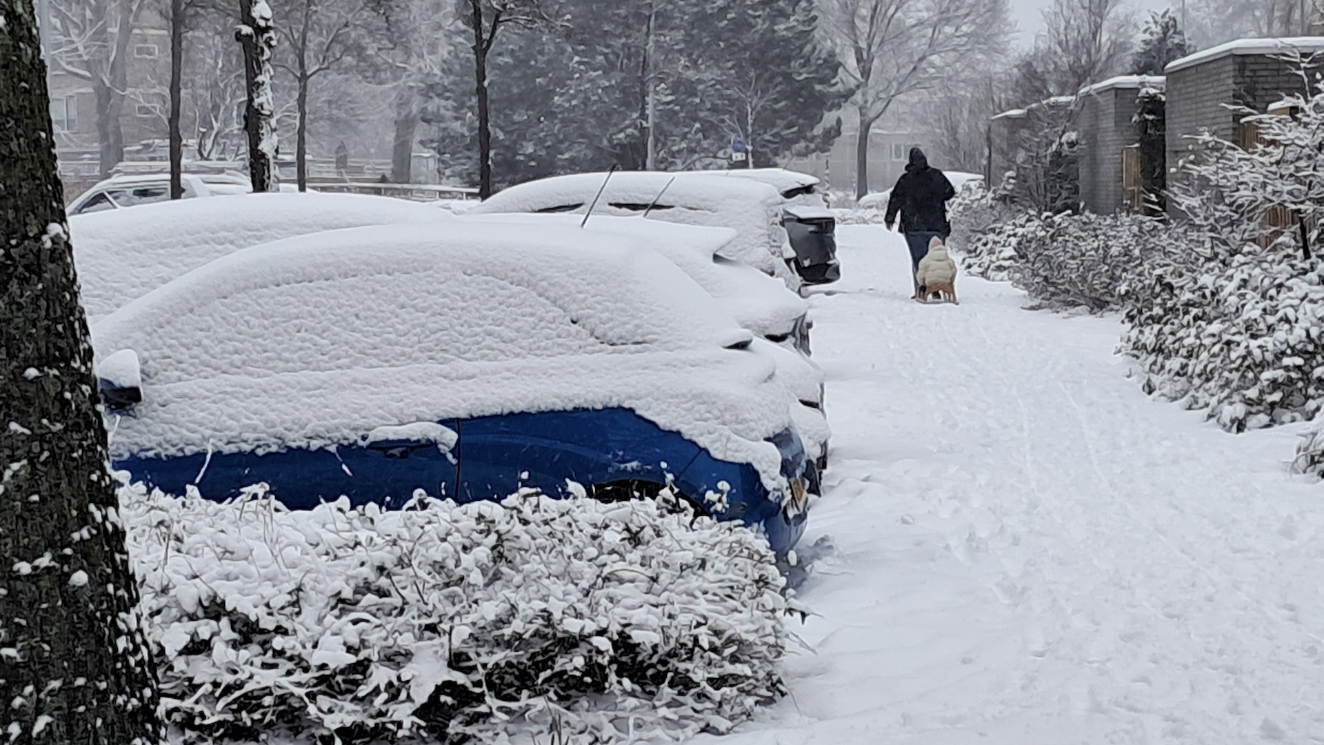 Winterse foto Lisette