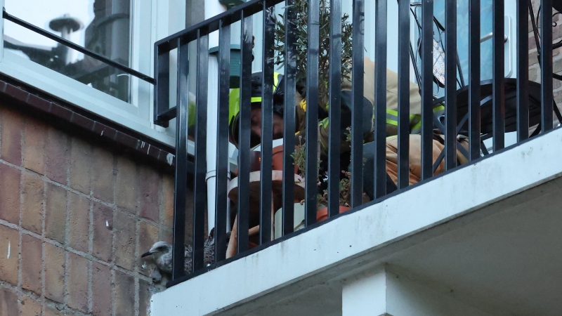 Meeuw op balkon vast CU Regio15 NOGKLEINER EM2 4903
