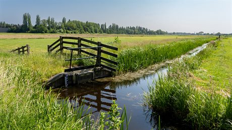 Delfland sloot 7685 1