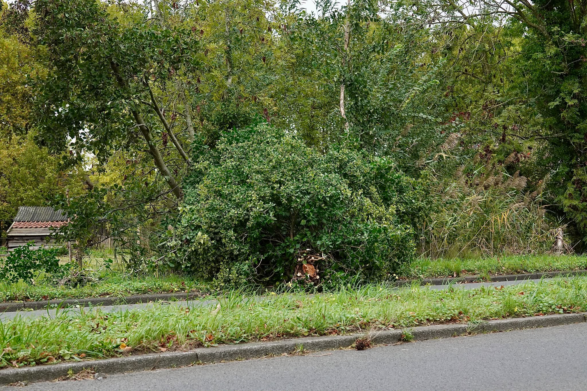 Stormschade 2
